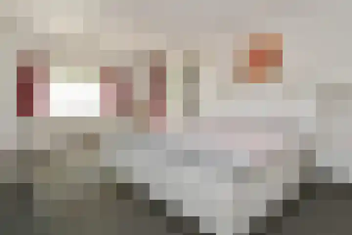 Het Frans Brugske 7 Gemert thumbnail 21