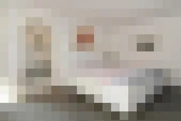 Het Frans Brugske 7 Gemert thumbnail 22