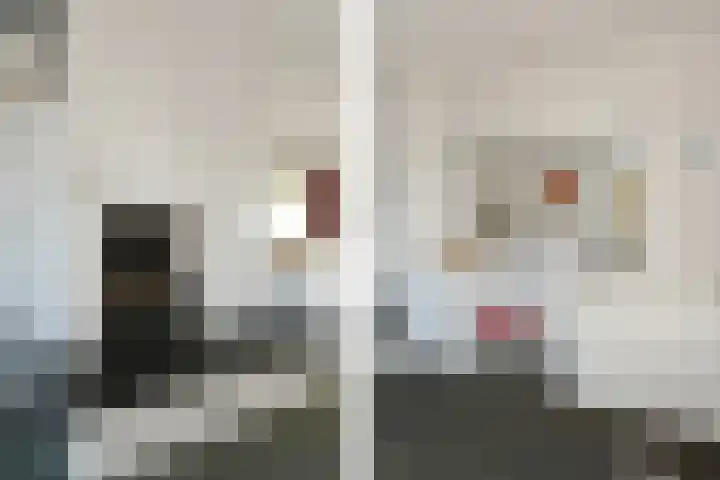 Het Frans Brugske 7 Gemert thumbnail 23