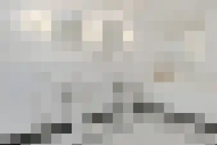 Het Frans Brugske 7 Gemert thumbnail 24
