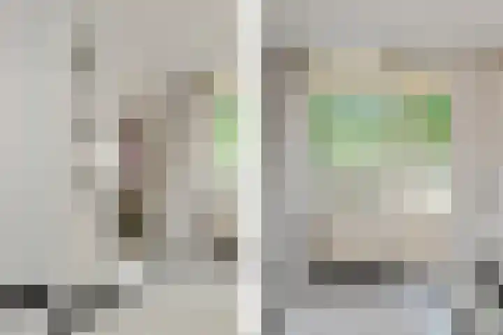 Het Frans Brugske 7 Gemert thumbnail 26