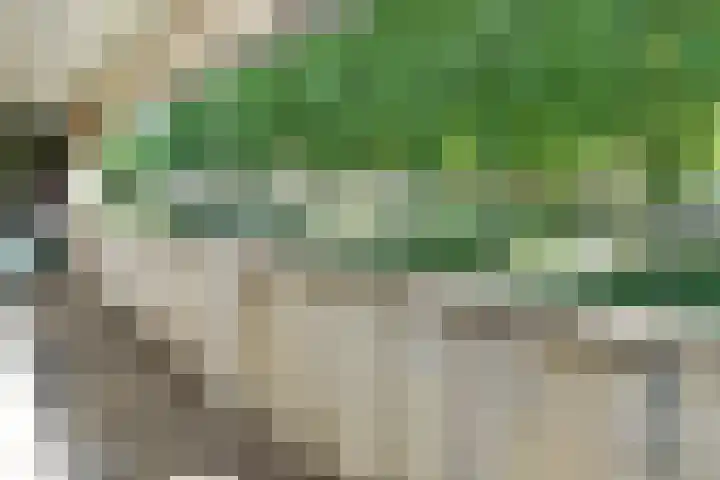 Het Frans Brugske 7 Gemert thumbnail 27