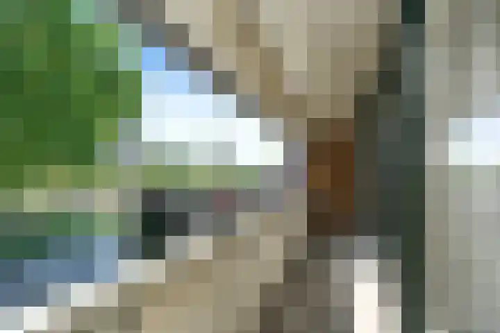 Het Frans Brugske 7 Gemert thumbnail 28