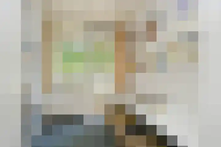 Het Frans Brugske 7 Gemert thumbnail 29