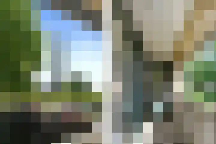 Het Frans Brugske 7 Gemert thumbnail 30