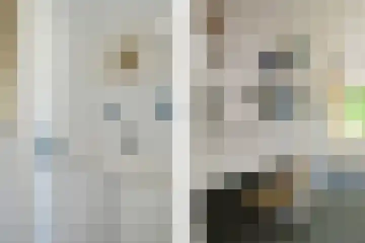 Het Frans Brugske 7 Gemert thumbnail 31