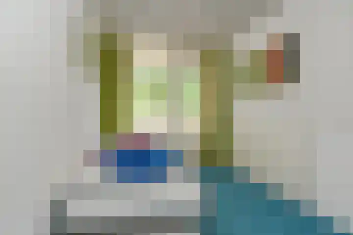 Het Frans Brugske 7 Gemert thumbnail 32