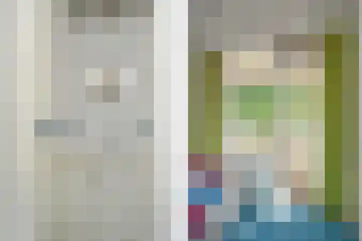 Het Frans Brugske 7 Gemert thumbnail 33