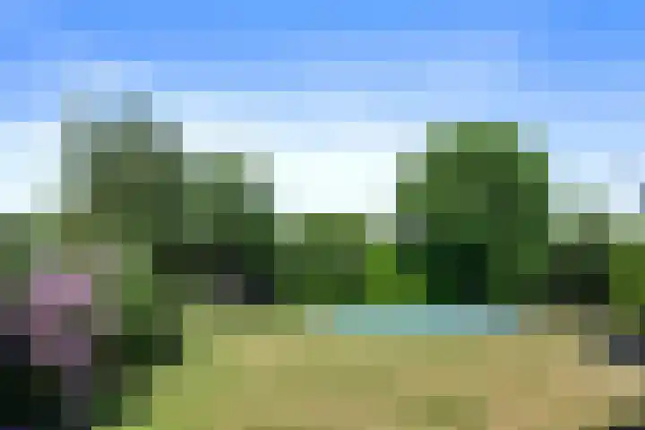 Het Frans Brugske 7 Gemert thumbnail 38