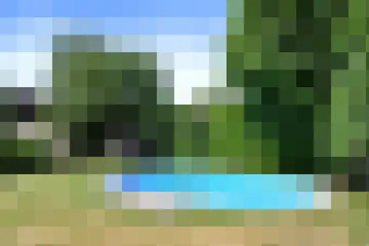 Het Frans Brugske 7 Gemert thumbnail 39
