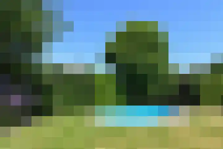 Het Frans Brugske 7 Gemert thumbnail 40