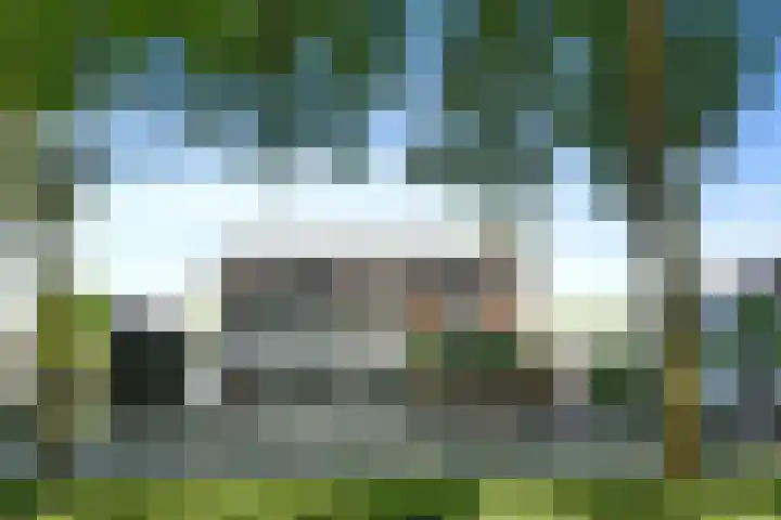 Het Frans Brugske 7 Gemert thumbnail 5