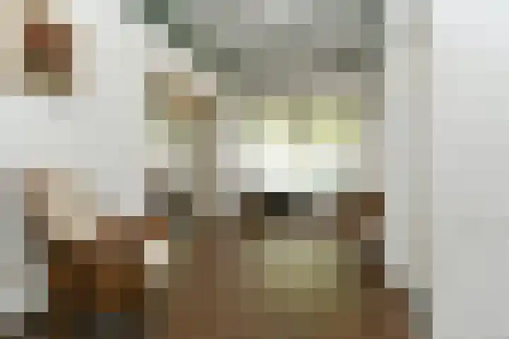 Het Frans Brugske 7 Gemert thumbnail 9