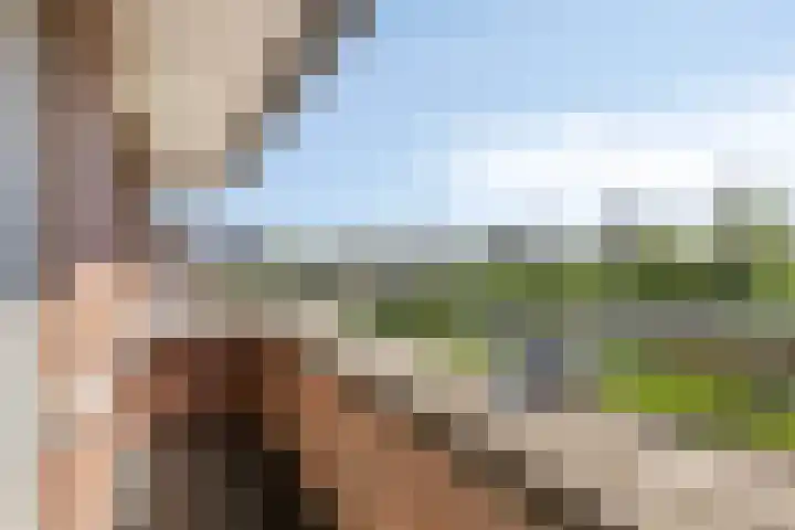 Het Garnizoen 7 Steenwijk thumbnail 28