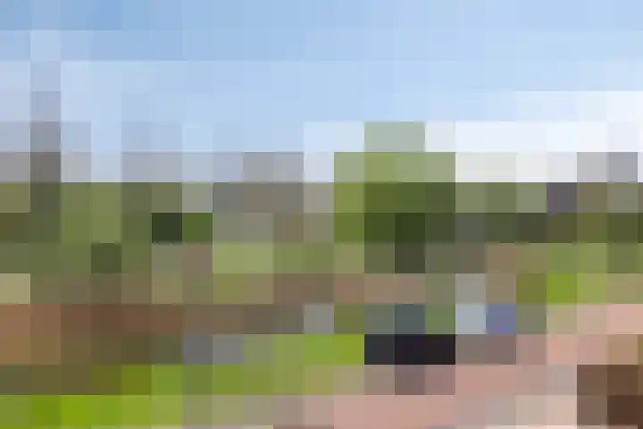 Het Garnizoen 7 Steenwijk thumbnail 29
