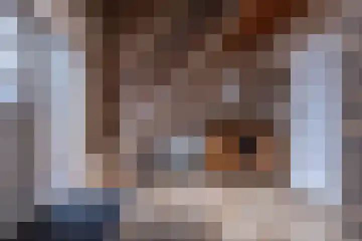 Het Gebient 8 Tolbert thumbnail 15