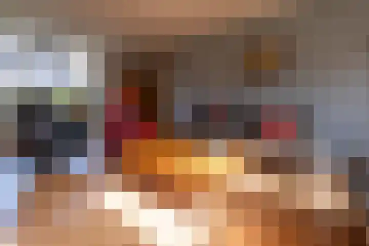 Het Gebient 8 Tolbert thumbnail 21