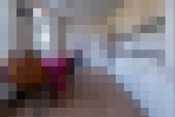 Het Gebient 8 Tolbert thumbnail 22
