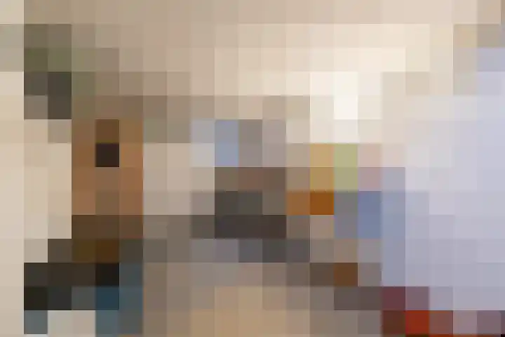 Het Gebient 8 Tolbert thumbnail 27