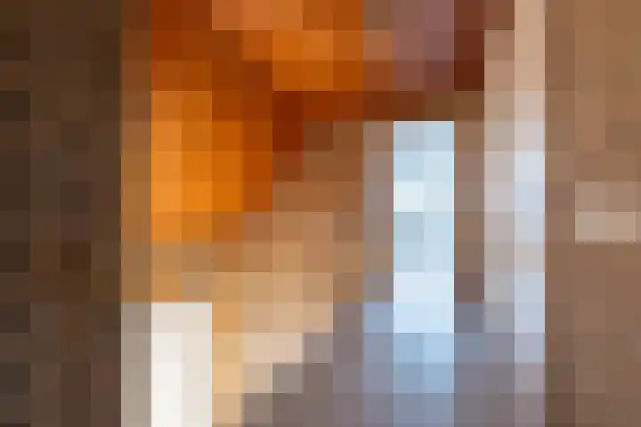 Het Gebient 8 Tolbert thumbnail 30