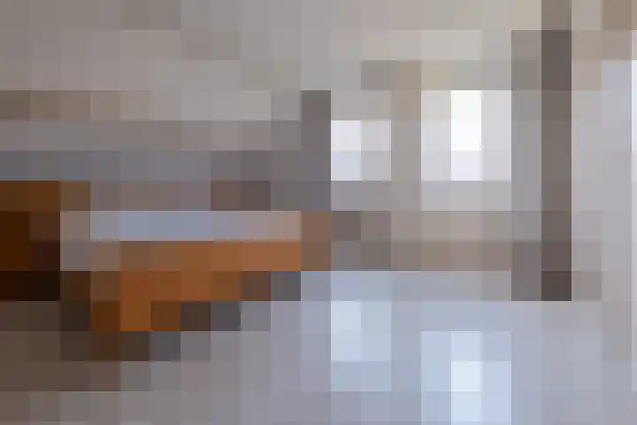 Het Gebient 8 Tolbert thumbnail 32