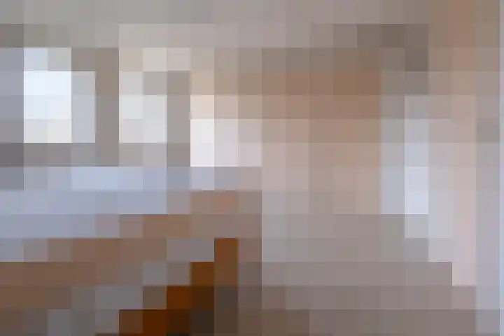 Het Gebient 8 Tolbert thumbnail 33