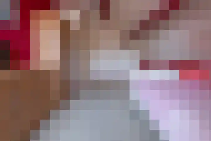 Het Gebient 8 Tolbert thumbnail 35