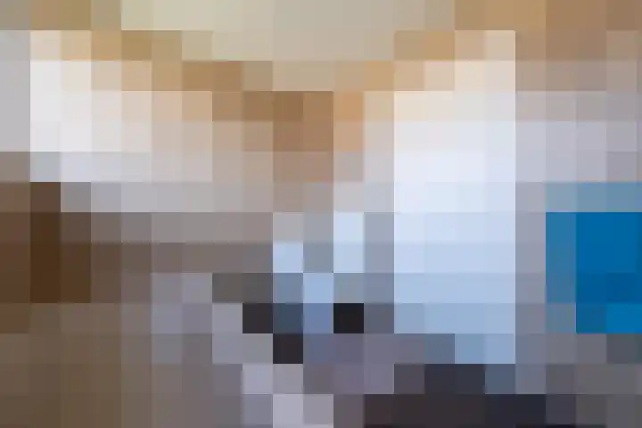 Het Gebient 8 Tolbert thumbnail 39