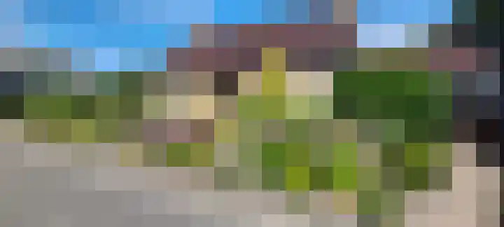 Het Gebient 8 Tolbert thumbnail 4