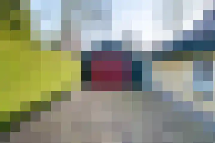Het Gebient 8 Tolbert thumbnail 41