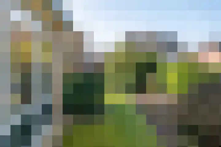 Het Gebient 8 Tolbert thumbnail 44