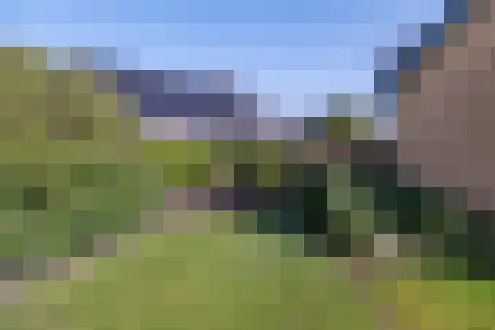Het Gebient 8 Tolbert thumbnail 45