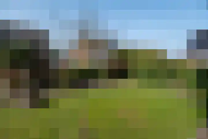 Het Gebient 8 Tolbert thumbnail 46