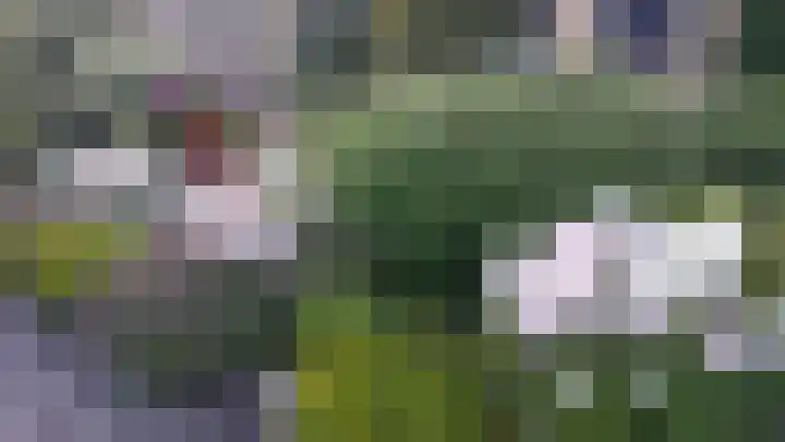 Het Gebient 8 Tolbert thumbnail 47