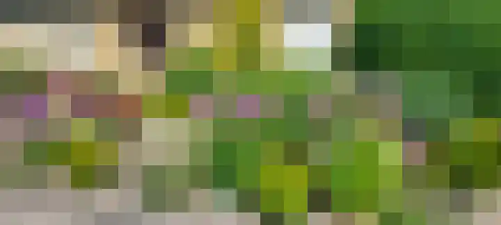 Het Gebient 8 Tolbert thumbnail 48