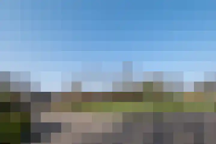 Het Gebient 8 Tolbert thumbnail 49