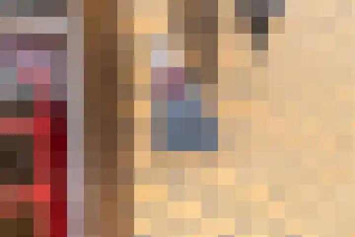 Het Gebient 8 Tolbert thumbnail 5