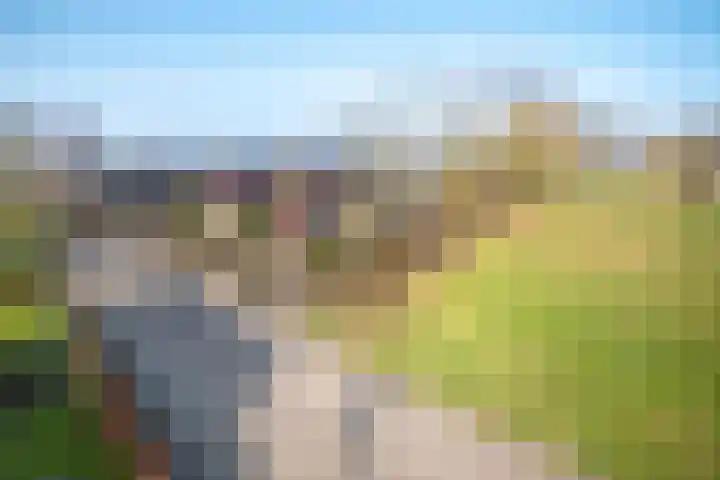 Het Gebient 8 Tolbert thumbnail 6