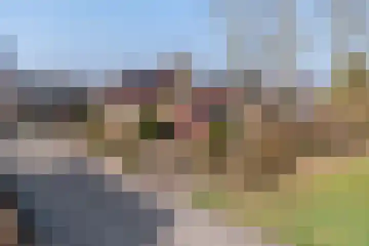 Het Gebient 8 Tolbert thumbnail 7