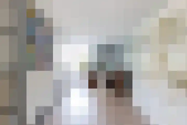Het Gebint 12 Borger thumbnail 18