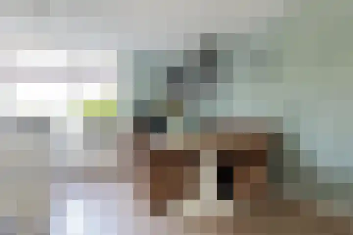 Het Gebint 12 Borger thumbnail 19