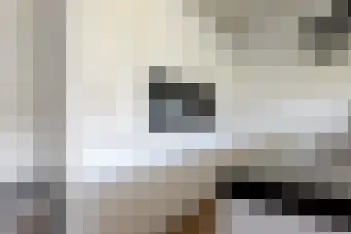 Het Gebint 12 Borger thumbnail 22