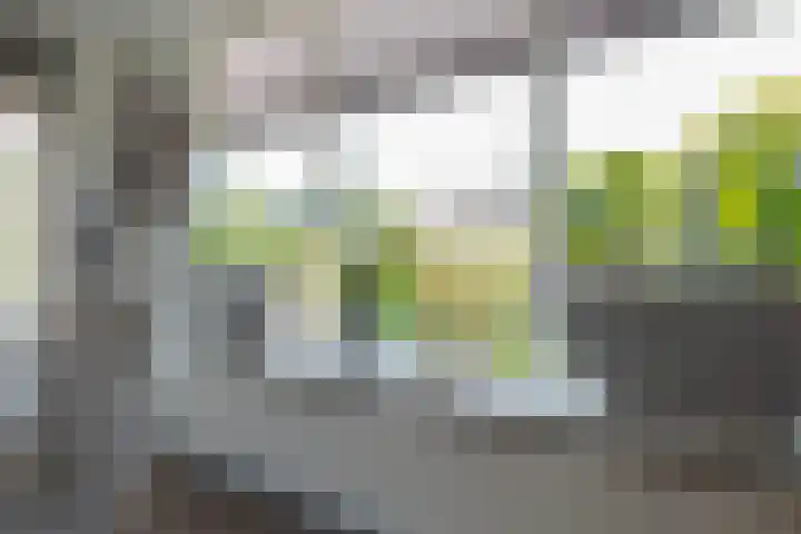 Het Gebint 12 Borger thumbnail 23