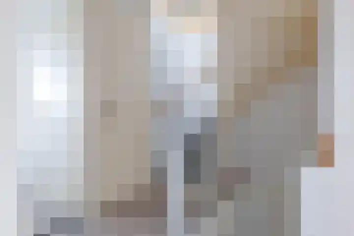 Het Gebint 12 Borger thumbnail 26