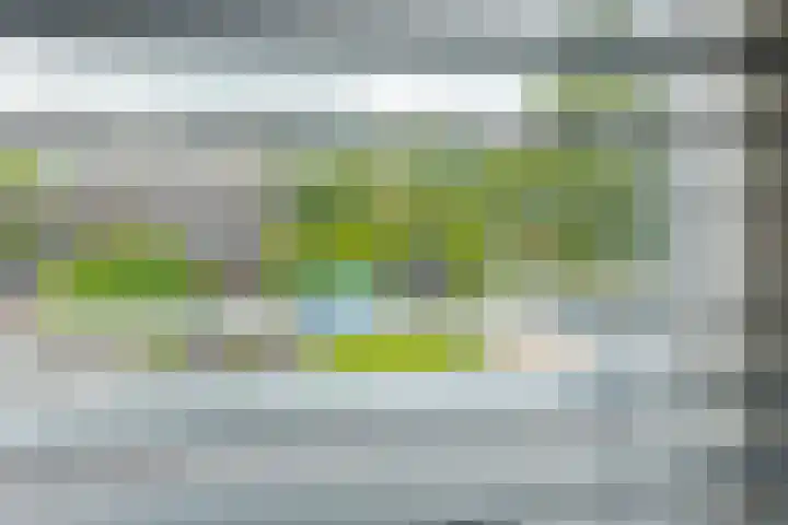 Het Gebint 12 Borger thumbnail 29