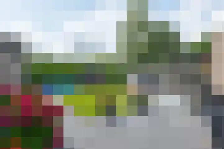 Het Gebint 12 Borger foto 3