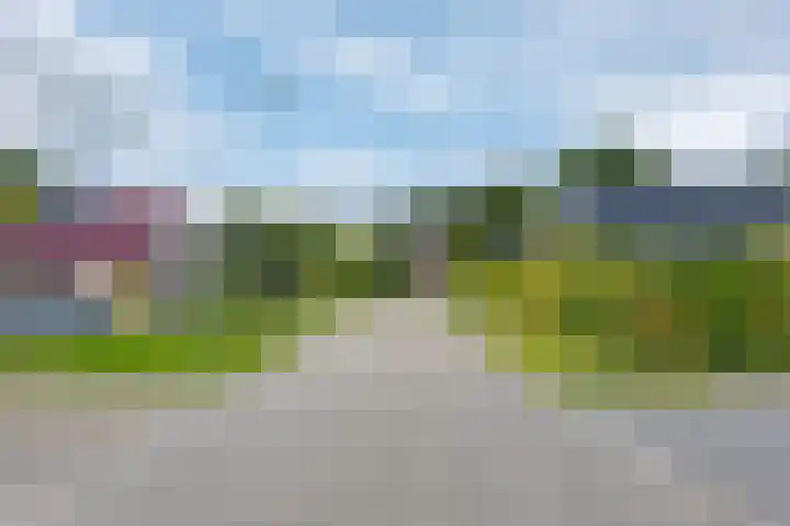 Het Gebint 12 Borger thumbnail 5