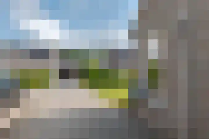 Het Gebint 12 Borger thumbnail 6
