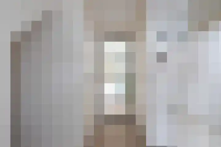 Het Gebint 12 Borger thumbnail 9
