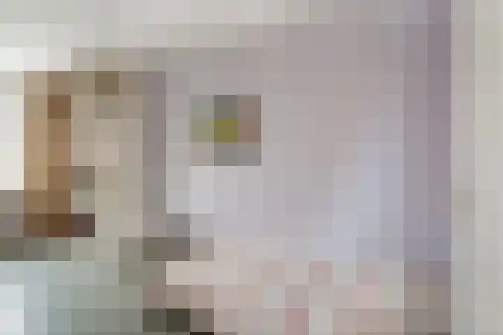 Het Gilde 24 Westervoort thumbnail 31